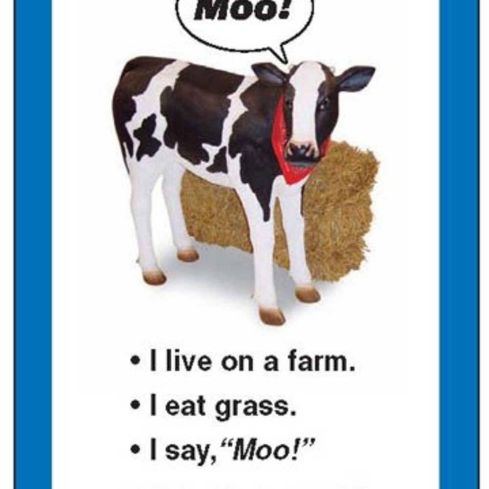 Auditory Memory for Riddles Fun Deck - Picture 6 of 6